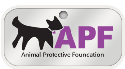 Adopt a Cat - Animal Protective Foundation