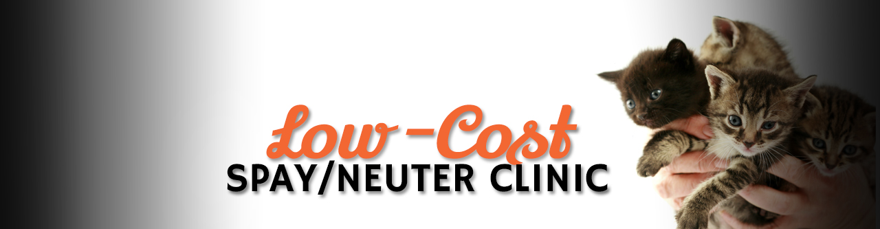reduced cost animal clinic