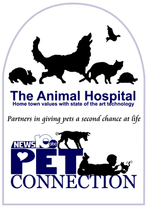 7th Annual Pet Connection Adoption Day - Animal Protective Foundation