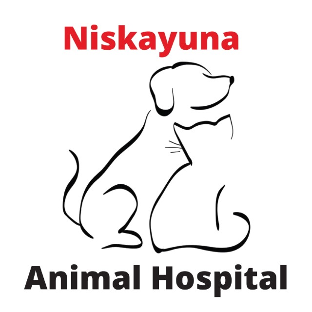 Niskayuna Animal Hospital