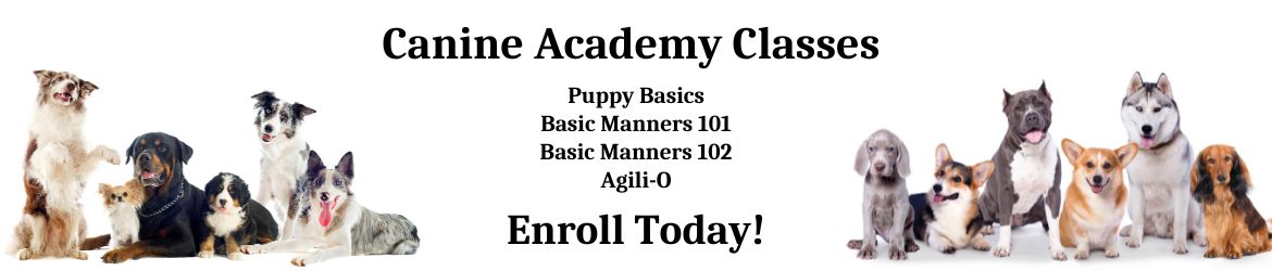 Canine Academy Classes